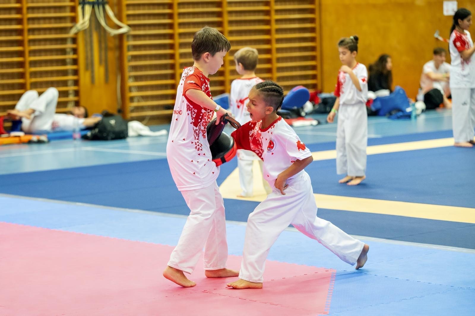 Kinder Training Taekwondo Glarus