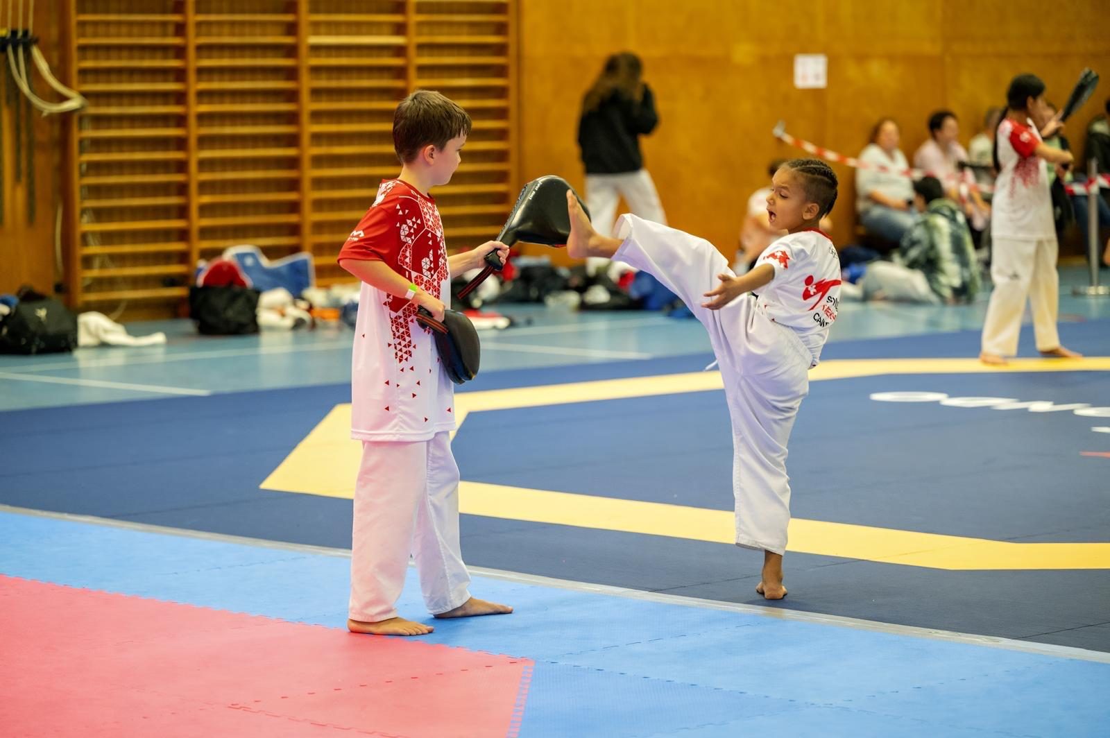 Taekwondo Training Kick Glarus