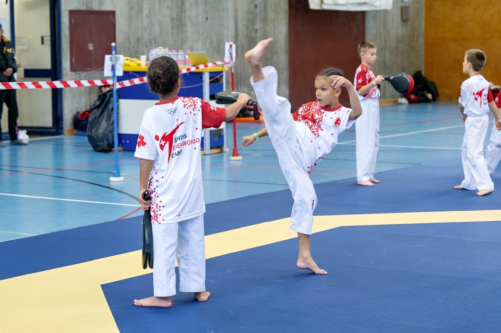 Kick Pad Training Taekwondo