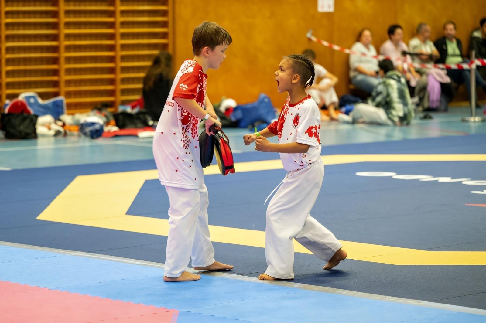 Gruppentraining Taekwondo Glarus